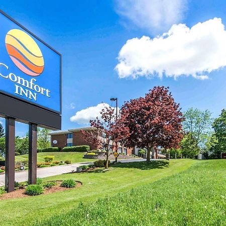 Comfort Inn Owen Sound Exteriér fotografie